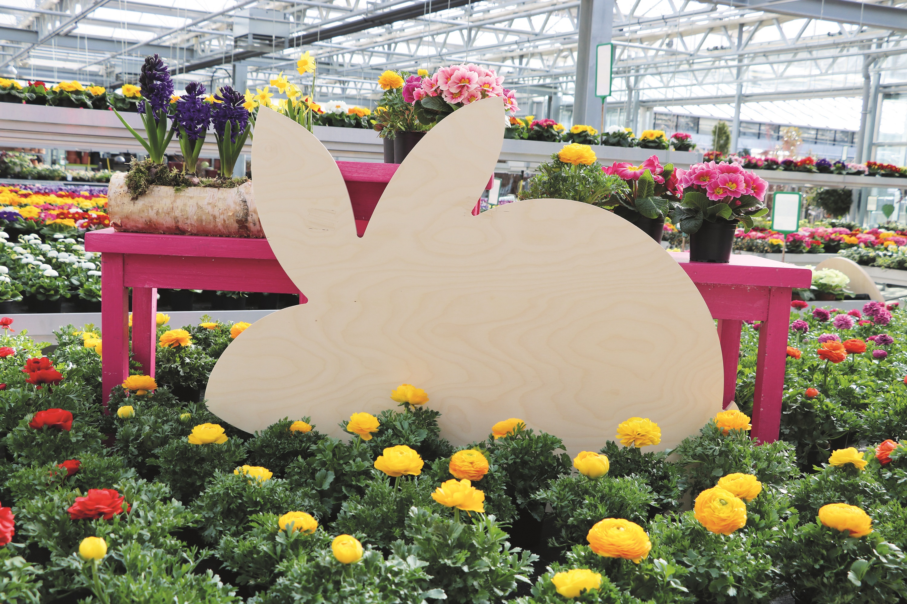 2025-04_pressebild_priener_gutschein_ostern_c-markt_prien_a._chiemsee.jpg